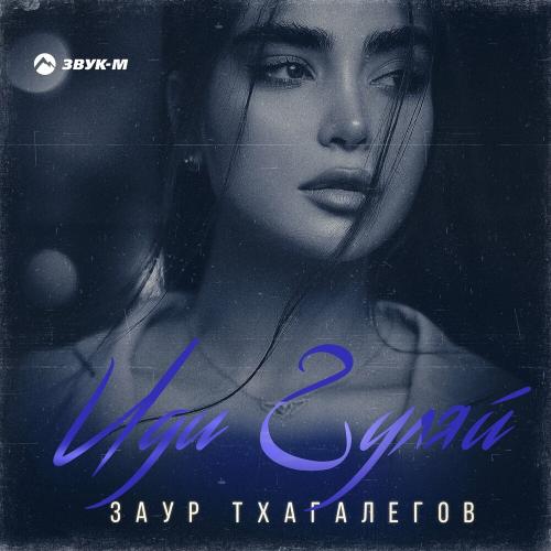 Иди Гуляй - Заур Тхагалегов