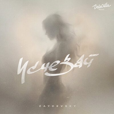 ZAYCEVSKY - Исчезай
