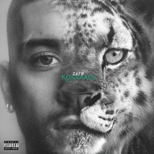 ZAYN - Sideways