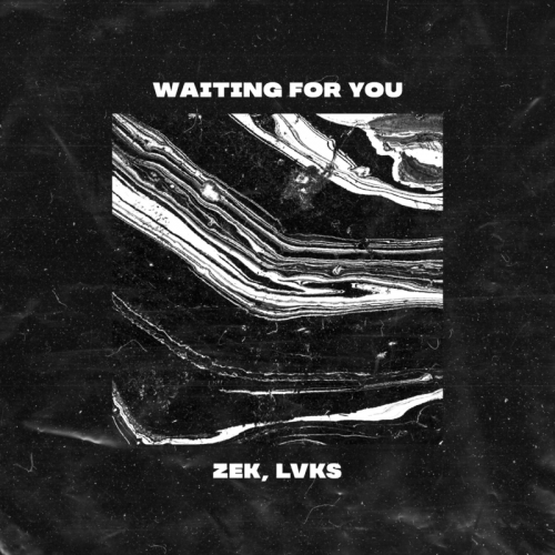 Waiting For You - Zek & LVKS