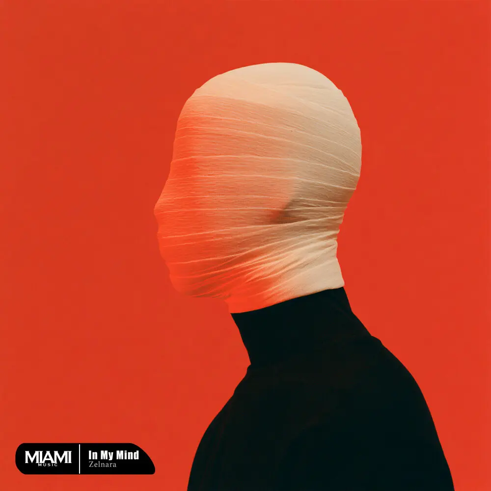 In My Mind - Zelnara