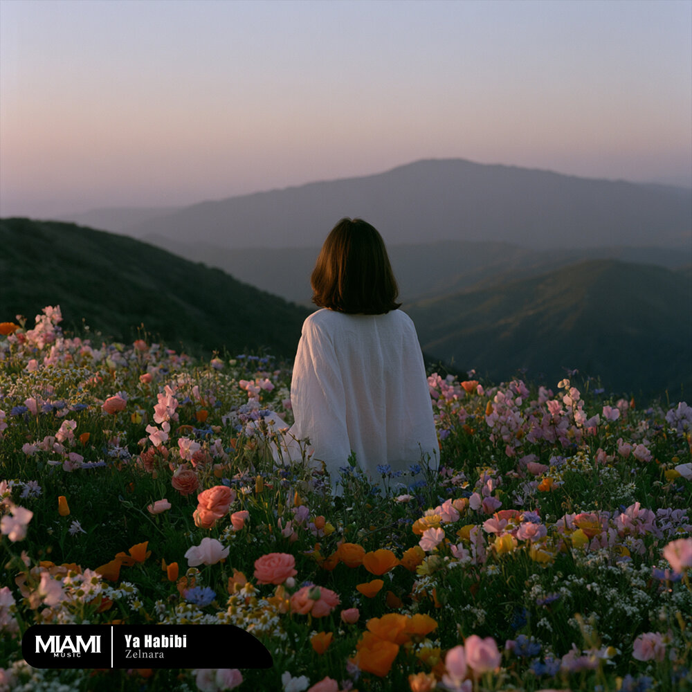 Ya Habibi - Zelnara