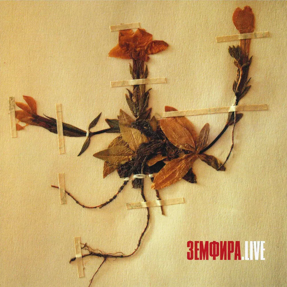 ∞＊ (Live) - Земфира