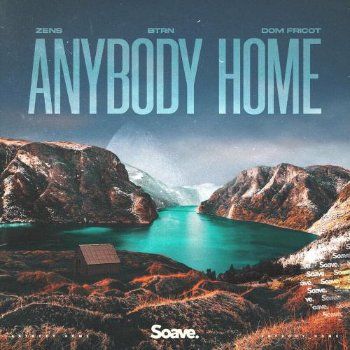 Zens feat. BTM & Dom Fricot - Anybody Home