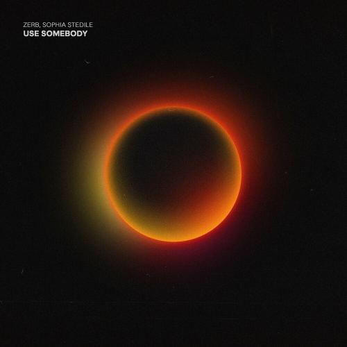 Zerb feat. Sophia Stedile - Use Somebody