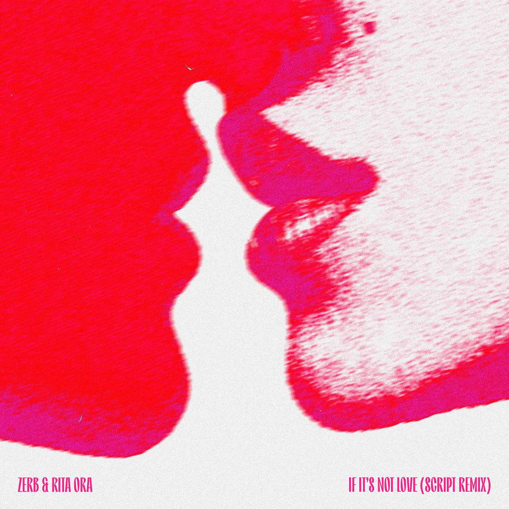 ZERB & Rita Ora - If It's Not Love (SCRIPT Remix)