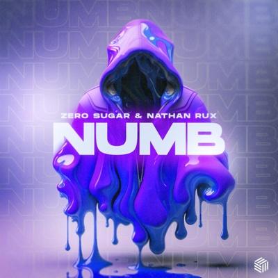 ZERO SUGAR, Nathan Rux - Numb