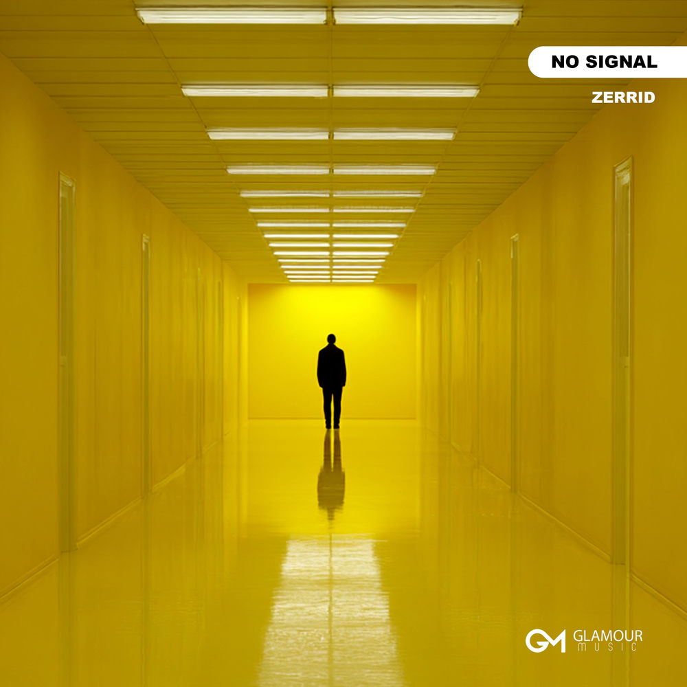No Signal - Zerrid