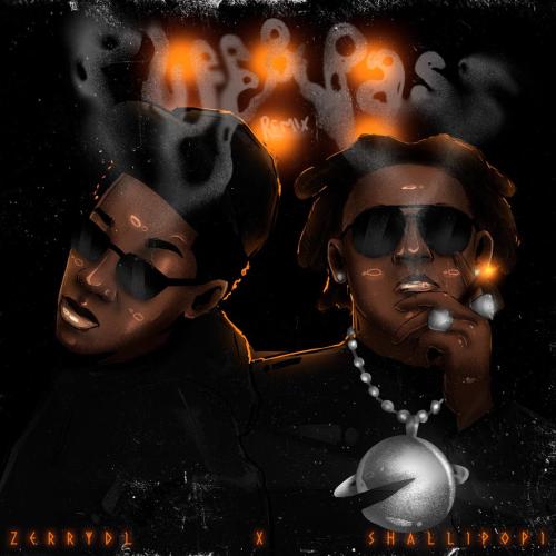 Zerrydl & Shallipopi - Puff & Pass (Remix)