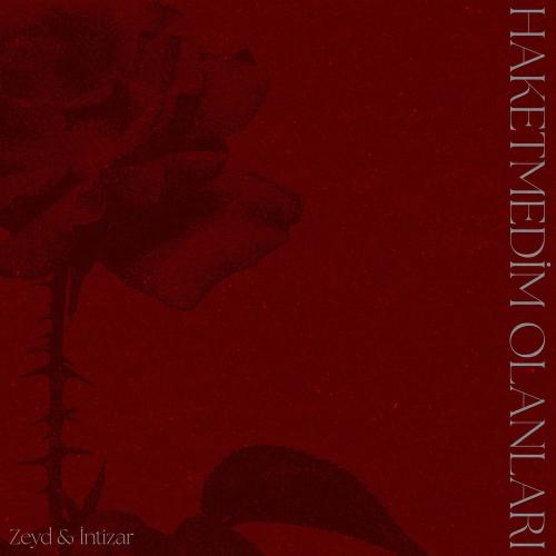 Zeyd & Intizar - Haketmedim Olanları