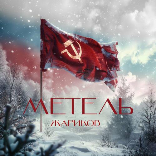 Жариков - Метель