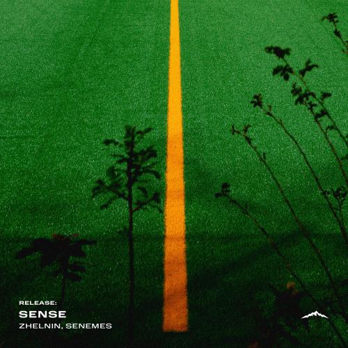 Sense - ZHELNIN, senemes