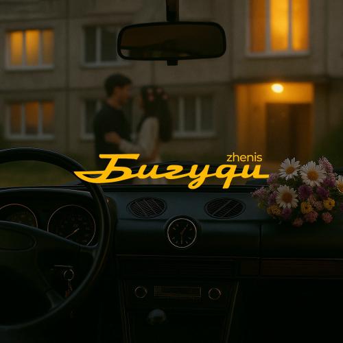 Zhenis - Бигуди