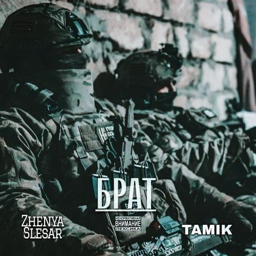 Брат - Zhenya Slesar, Tamik