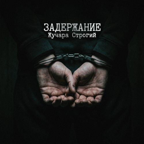 Жучара Строгий - Задержание