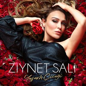 Ziynet Sali - Ağlar mıyım Ağlamam
