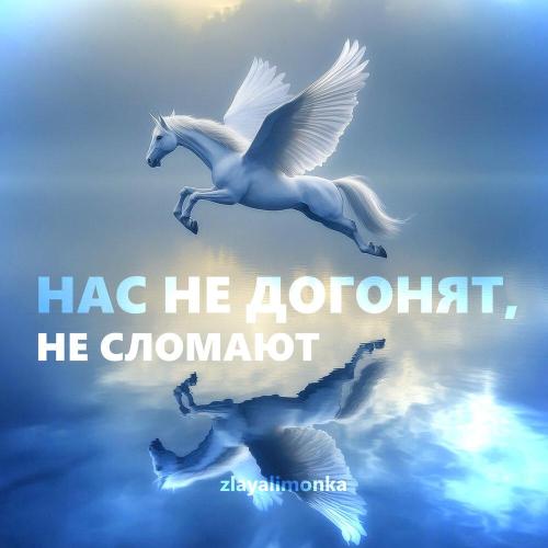 Нас не догонят, не сломают - zlayalimonka