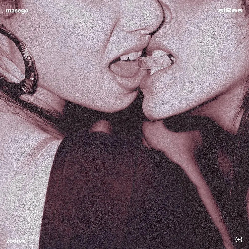 si2es (+) - ZODIVK