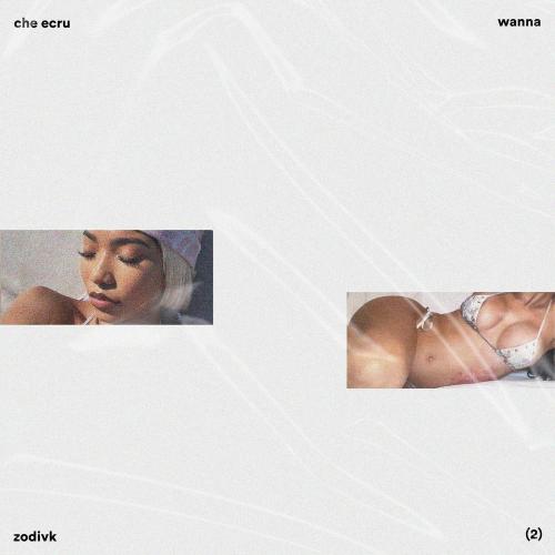 ZODIVK - Wanna (2)