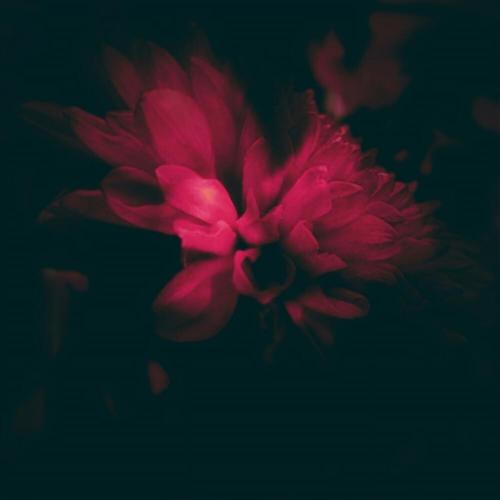 Zubi & Anatu - My Time (Cocopuffs Remix)