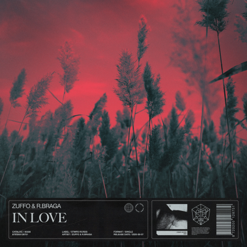 Zuffo & R.Braga - In Love