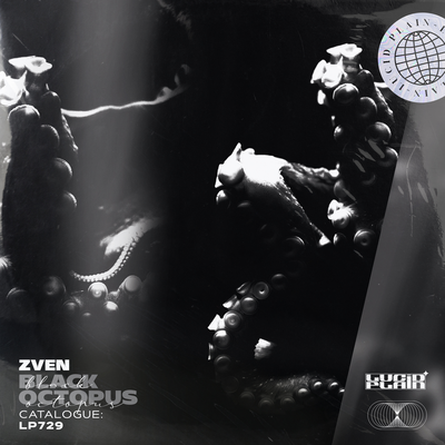Black Octopus - ZVEN