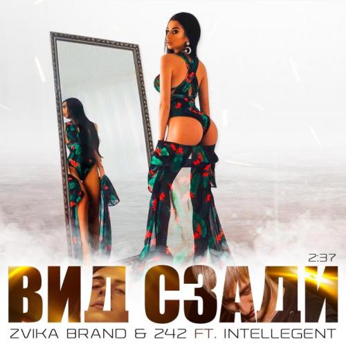 Zvika Brand, 242 feat. Intellegent - Вид сзади