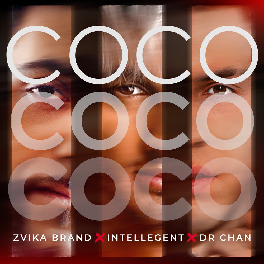 Coco - Zvika Brand, INtellegent, Dr. Chan