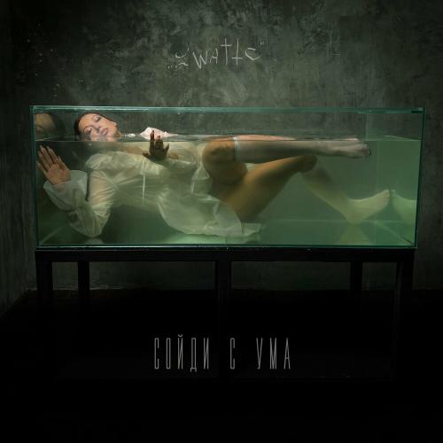 Zwatte - Сойди С Ума